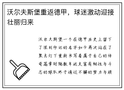 沃尔夫斯堡重返德甲，球迷激动迎接壮丽归来